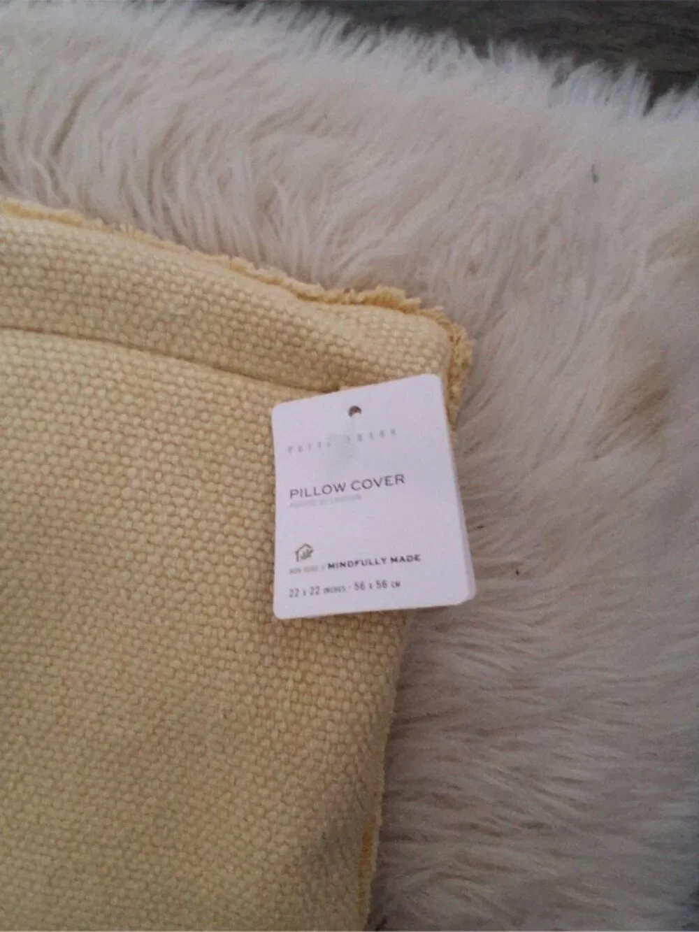 Pottery Barn nwt pillow cover 22x22 pale yellow ? cotton lyocell